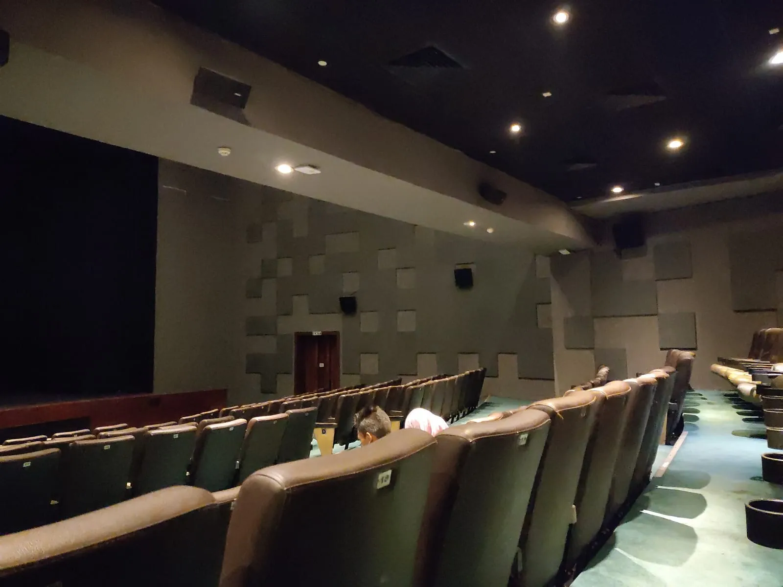 La salle d'un cinéma, avec son écran et ses fauteuils