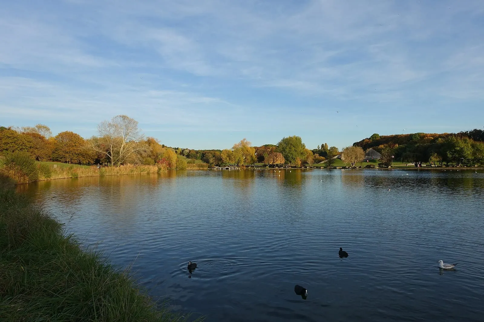 Le Grand Lac du parc Georges-Valbon, vu depuis les berges