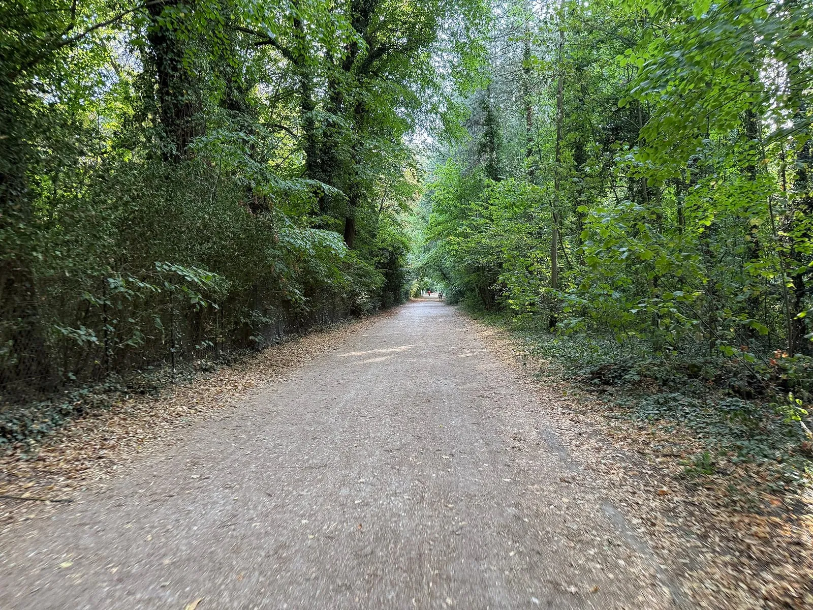 Une allée du parc forestier de la Poudrerie, à Sevran