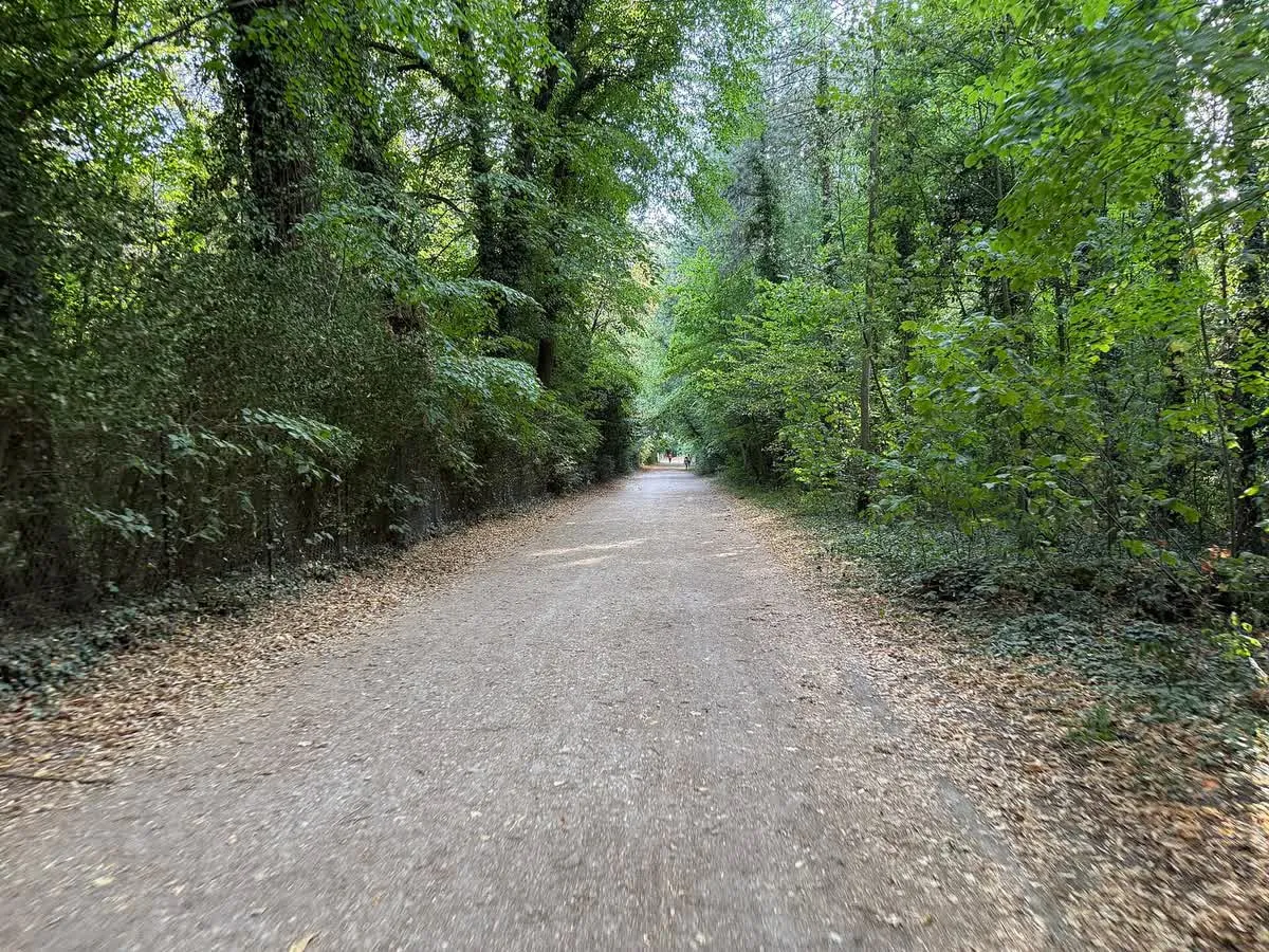 Une allée du parc forestier de la Poudrerie, à Sevran